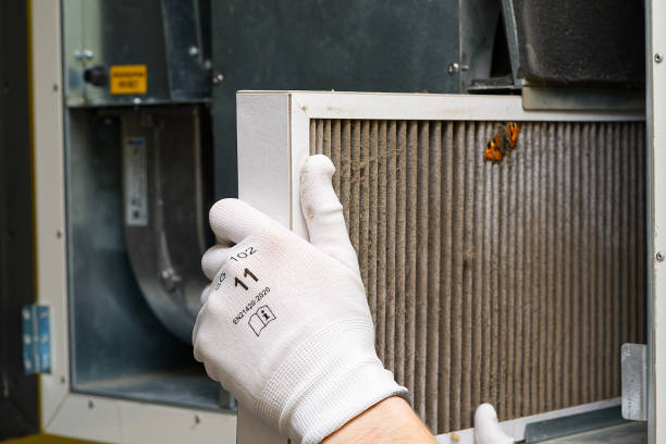 Best Dryer Vent Cleaning Services  in Brandenburg, KY