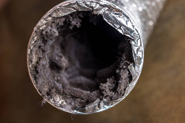 Best Dryer Vent Cleaning Services  in Brandenburg, KY