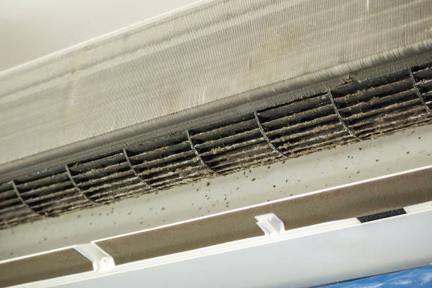 Best Home Air Vent Cleaning  in Brandenburg, KY